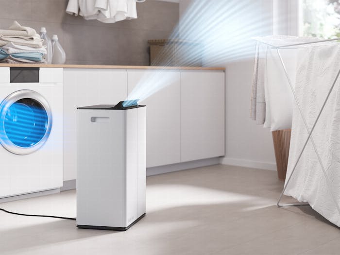 Dehumidifier Lukas Pro in a bright laundry room landscape