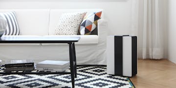 Luftwäscher Robert schwarz von Stadler Form in einem Wohnzimmer