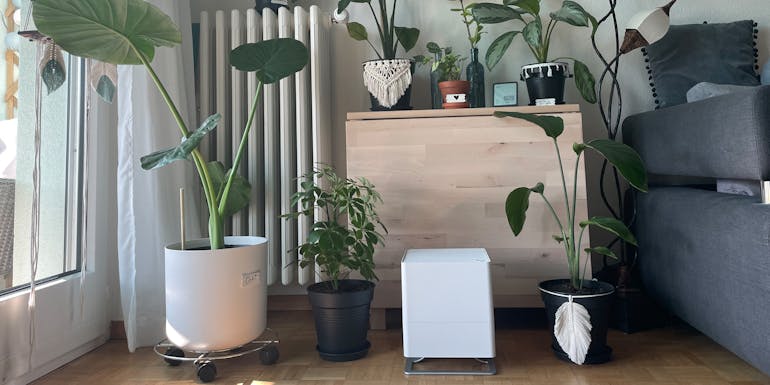 Luftbefeuchter Oskar und Hygrometer Selina von Stadler Form unter Pflanzen Luftbefeuchter Oskar und Hygrometer Selina von Stadler Form unter Pflanzen