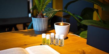 Aroma-Diffusor Zoe in Weiß mit ätherischen Ölen von Stadler Form auf einem Tisch und Pflanzen im Hintergrund