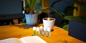 Aroma diffuser Zoe in white with essential oils by Stadler Form on a table and plants in the background Aroma diffuser Zoe in white with essential oils by Stadler Form on a table and plants in the background
