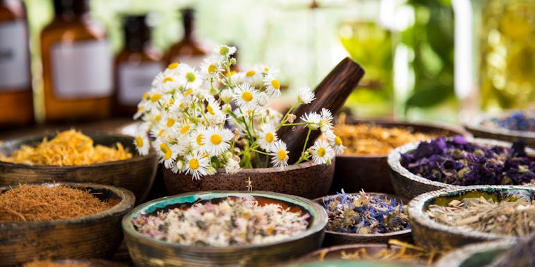 Ingredients for essential oils Ingredients for essential oils