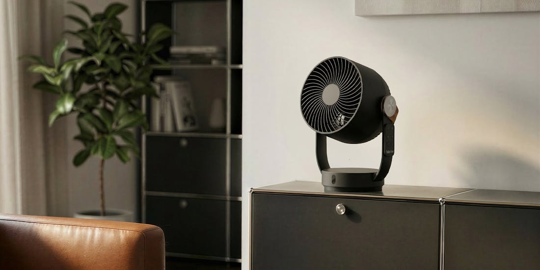 Image of a black Leo on a dark sideboard, symbolizing the 2026 letter fan trend