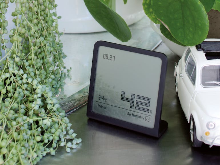 Selina Hygrometer von Stadler Form in Schwarz zwischen Dekoration und Blumen