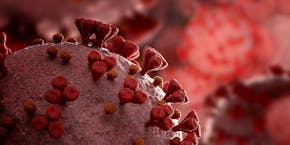 Symbol image virus red Symbol image virus red