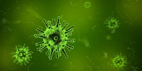 Green virus image Green virus image