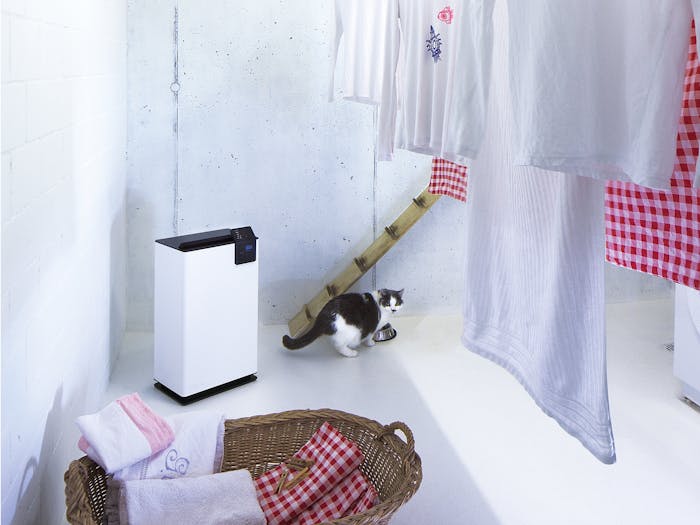 Albert Luftentfeuchter von Stadler Form Albert Luftentfeuchter von Stadler Form im Waschraum mit einer Katze