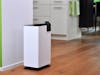Albert little dehumidifier by Stadler Form Albert little dehumidifier by Stadler Form in a hallway close to a kitchen