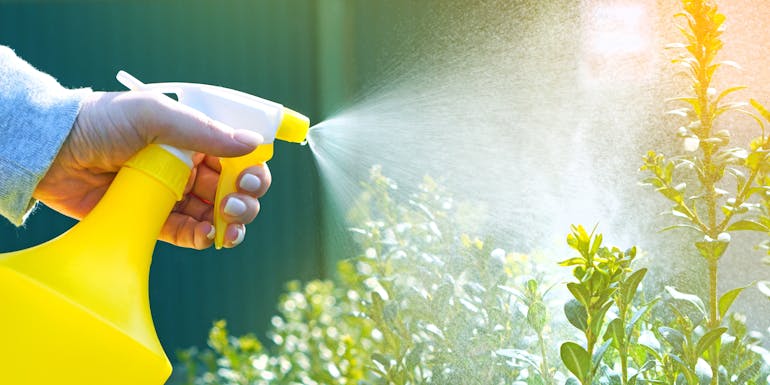 Water plants Water plants