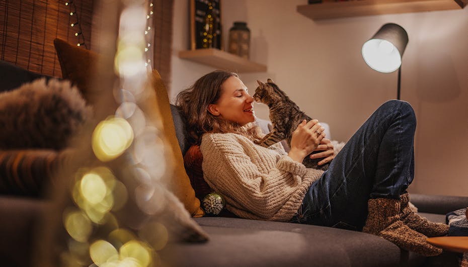 Woman on the sofa cuddling with a cat Woman on the sofa cuddling with a cat