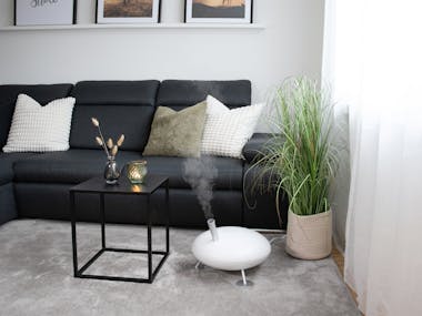 Humidificateur Fred par Stadler Form en blanc dans un salon