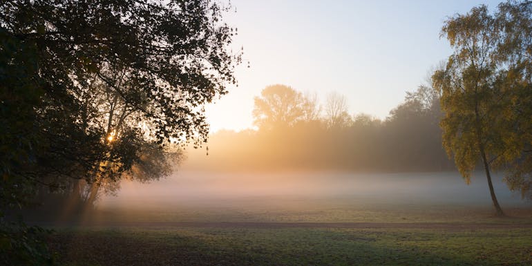 Fog & Nature Fog & Nature