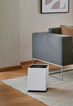 Stadler Form Noah humidifier in a living room