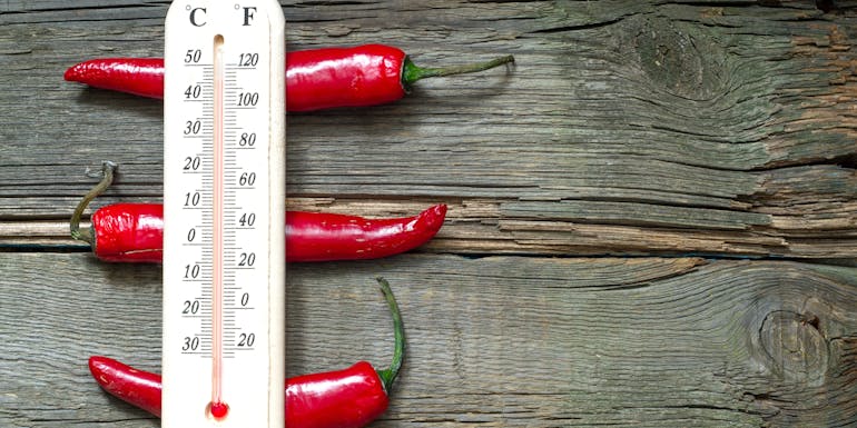 Thermometer Thermometer