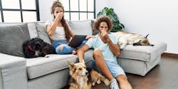 Couple with dogs and stinky smell