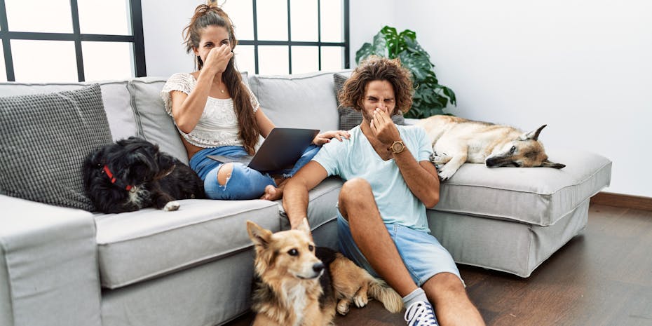 Couple with dogs and stinky smell
