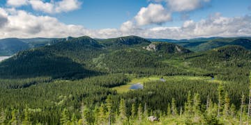 Borealer Wald mit See