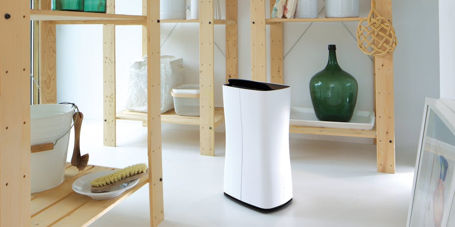 Déshumidificateur Theo de Stadler Form dans un sous-sol