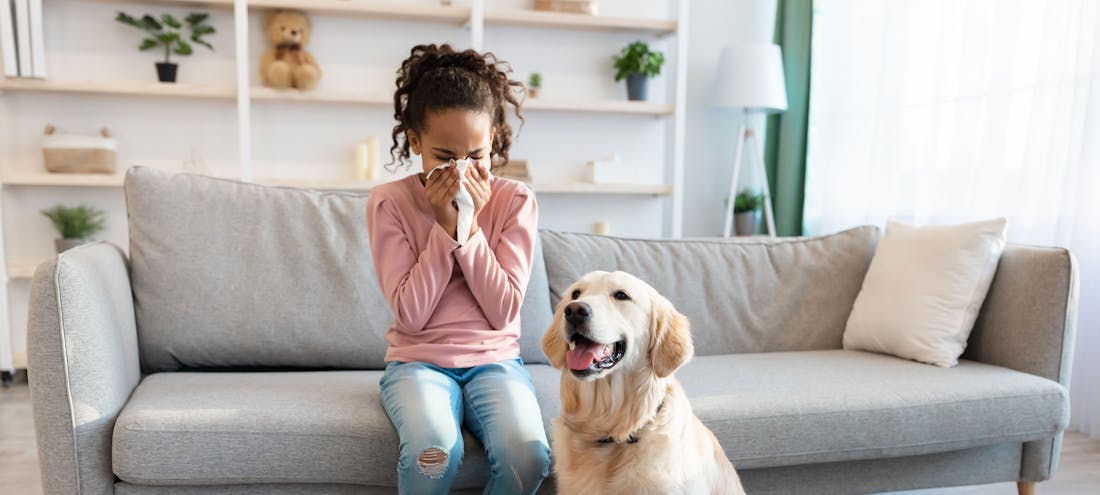 Child with animal hair allergy next to dog on sofa