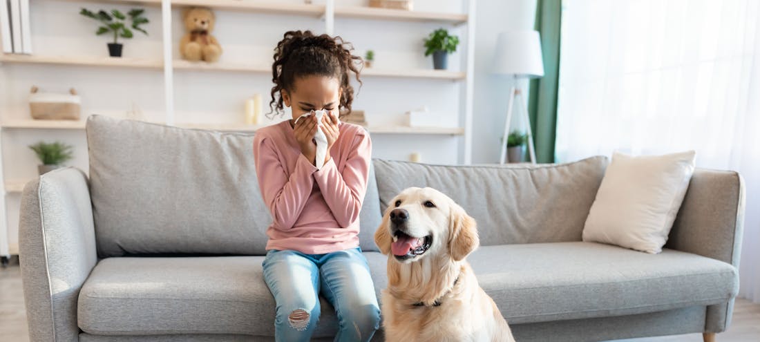 child with animal hair allergy