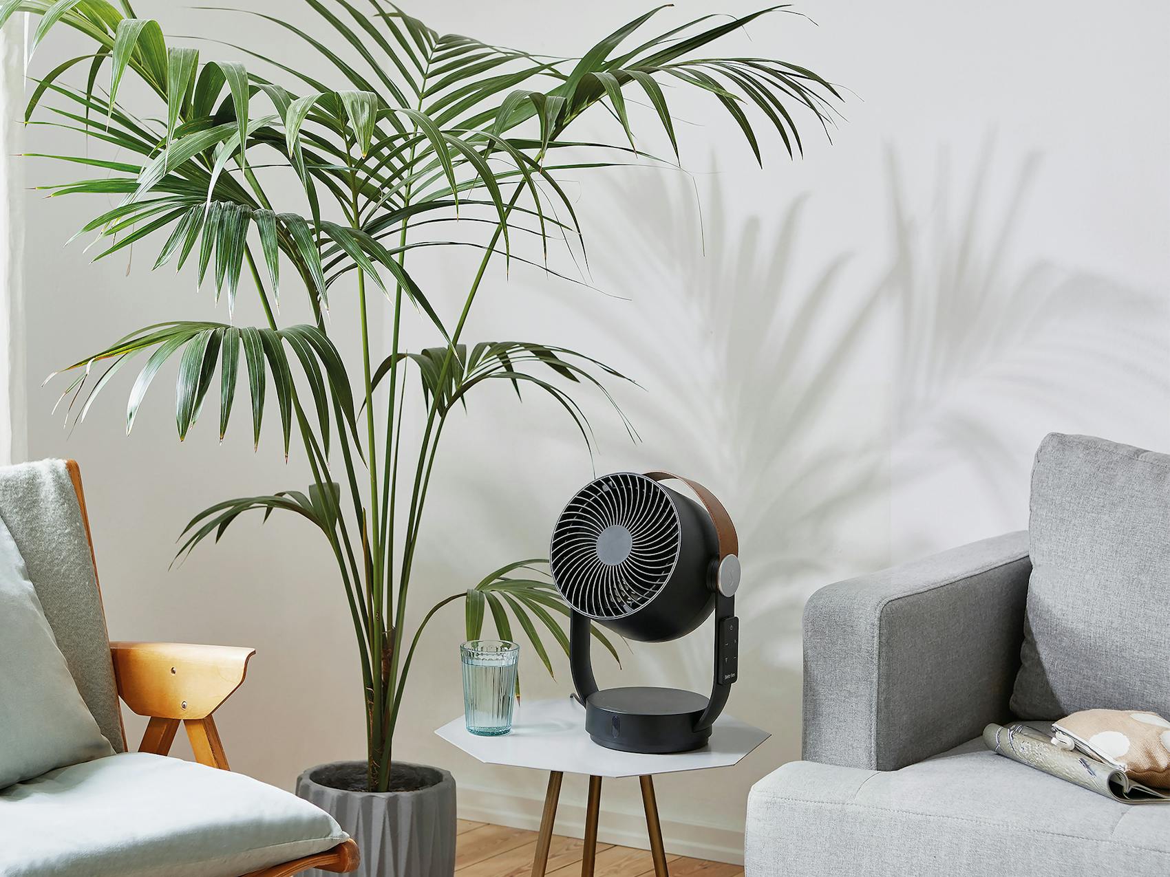 Leo von Stadler Form in Schwarz im Wohnzimmer