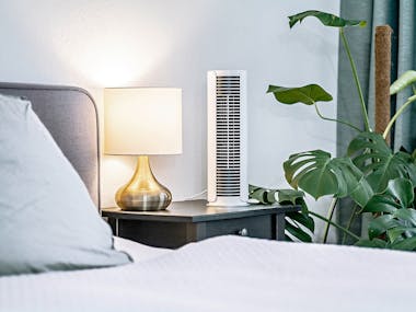 Peter kleiner Ventilator von Stadler Form in Weiß in einem Schlafzimmer