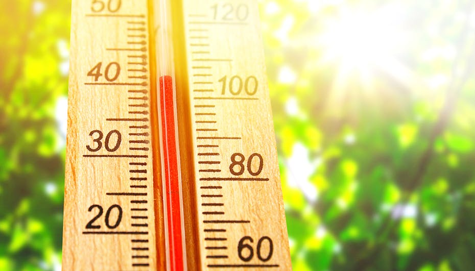 Thermometer mit 40C° Thermometer mit 40C°