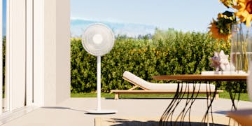 Image of Finn mobile outdoors as a symbol for the trend letter fans 2025