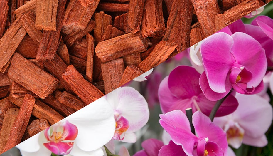 Fragrance visualization of sandalwood and orchids Fragrance visualization of sandalwood and orchids