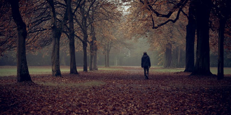 Man walking in a dark forest Man walking in a dark forest