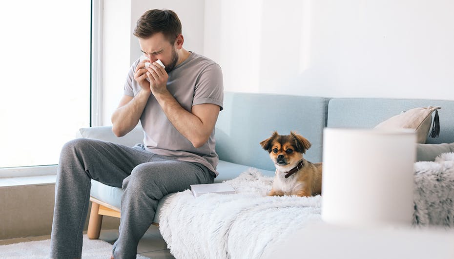 Man with dog allergy