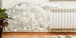 Mold on the wall