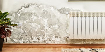 Schimmel an der Wand