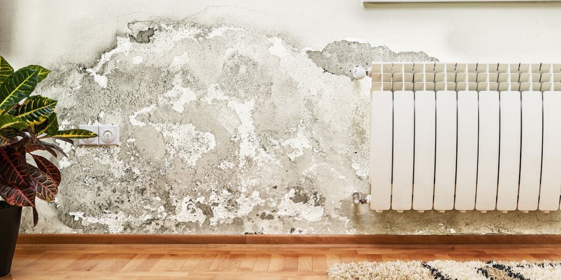 Schimmel an der Wand Schimmel an der Wand