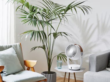 Leo by Stadler Form Leo by Stadler Form in a living room