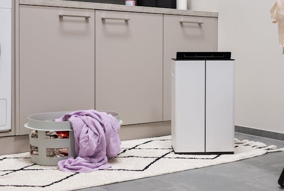 Lukas dehumidifier from Stadler Form in a laundryroom