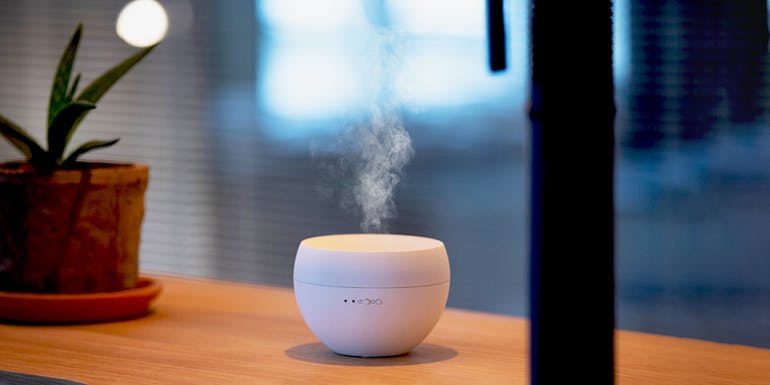 Aroma diffuser Jasmine in white with visible mist output by Stadler Form with a plant in the background Aroma diffuser Jasmine in white with visible mist output by Stadler Form with a plant in the background