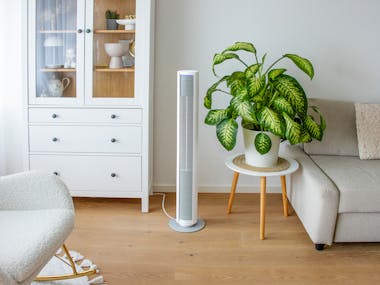 Stadler Form Peter Turmventilator in einem Wohnzimmer