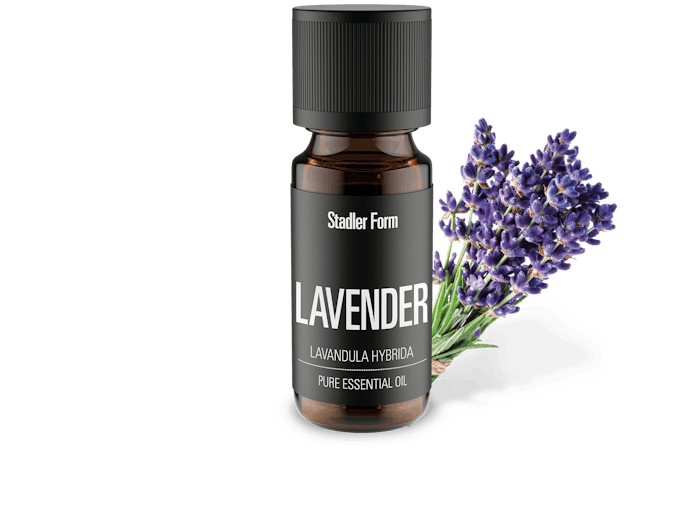 Essential oil Lavender