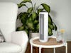 Peter little table fan from Stadler Form on a side table