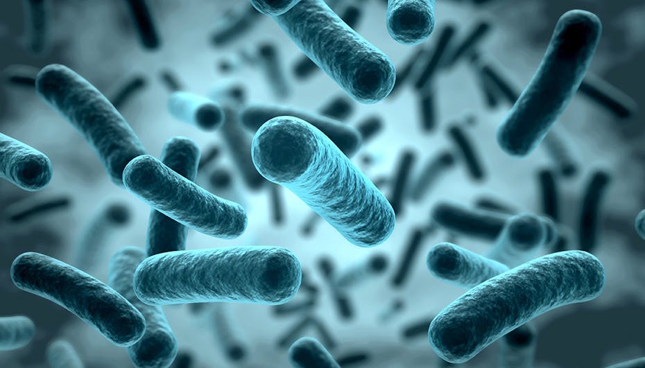Visuallization of bacterias and viruses