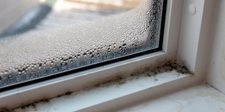 Mold on the window frame
