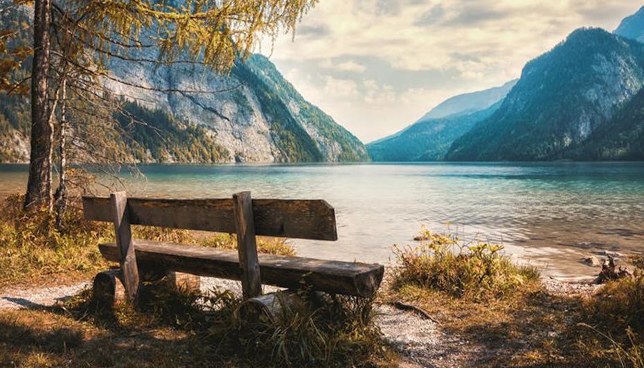 Wooden bench in nature by a lake