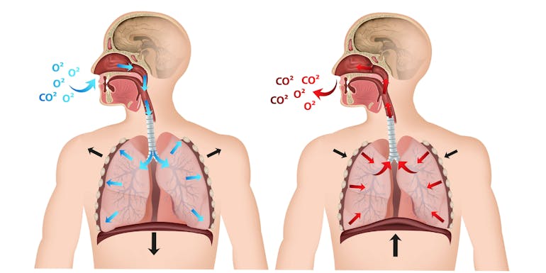 co2 emissions person