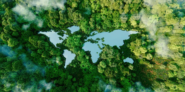 Worldmap forest
