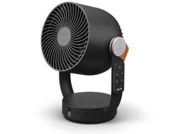 Leo von Stadler Form in Schwarz als Perspektivansicht