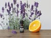 Stadler Form essential oil Rebloom