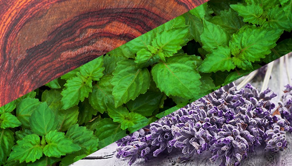 Duftvisualisierung von Rosenholz, Patchouli und Lavendel Duftvisualisierung von Rosenholz, Patchouli und Lavendel