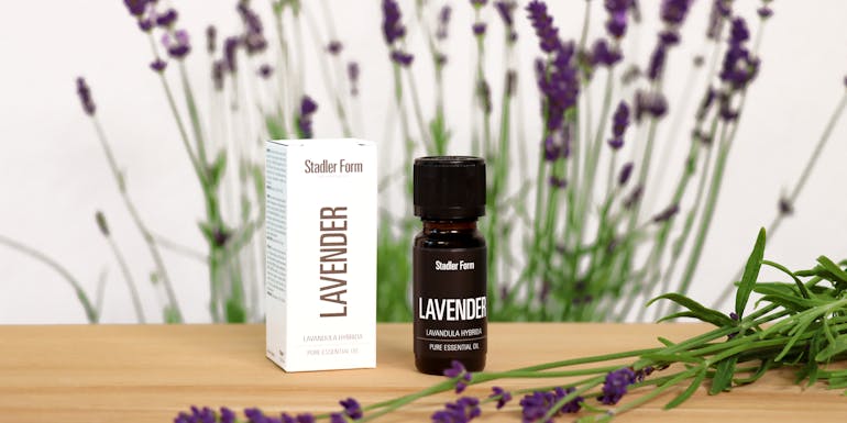 fragrance lavender