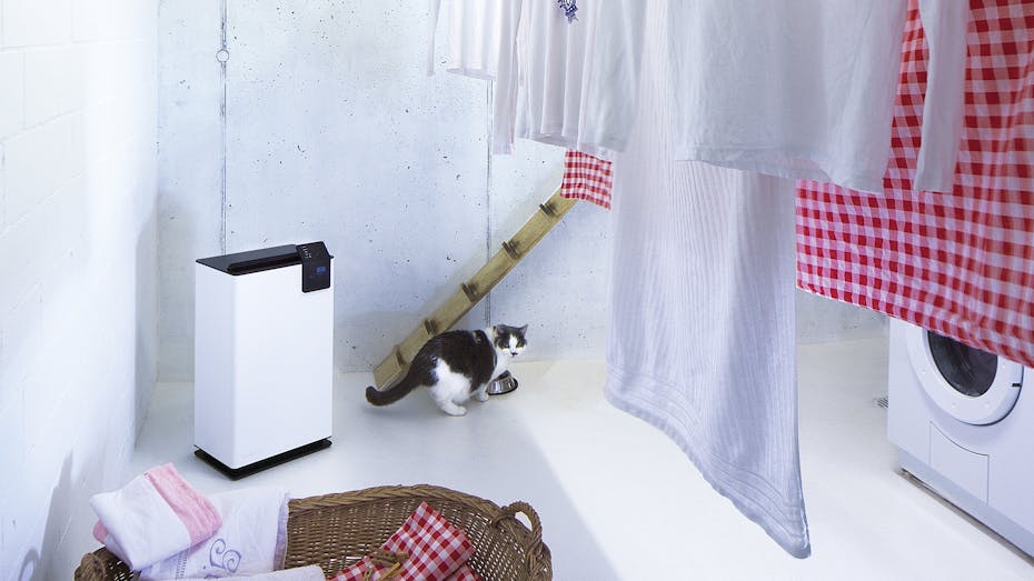 Déshumidificateur Albert par Stadler Form dans une buanderie avec du linge mouillé et un chat.